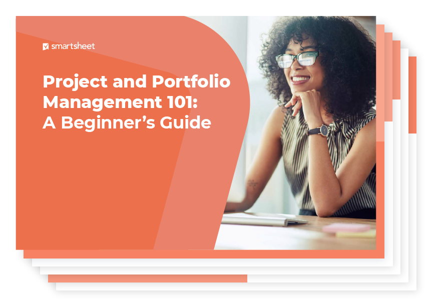 project and portfolio management 101 ebook